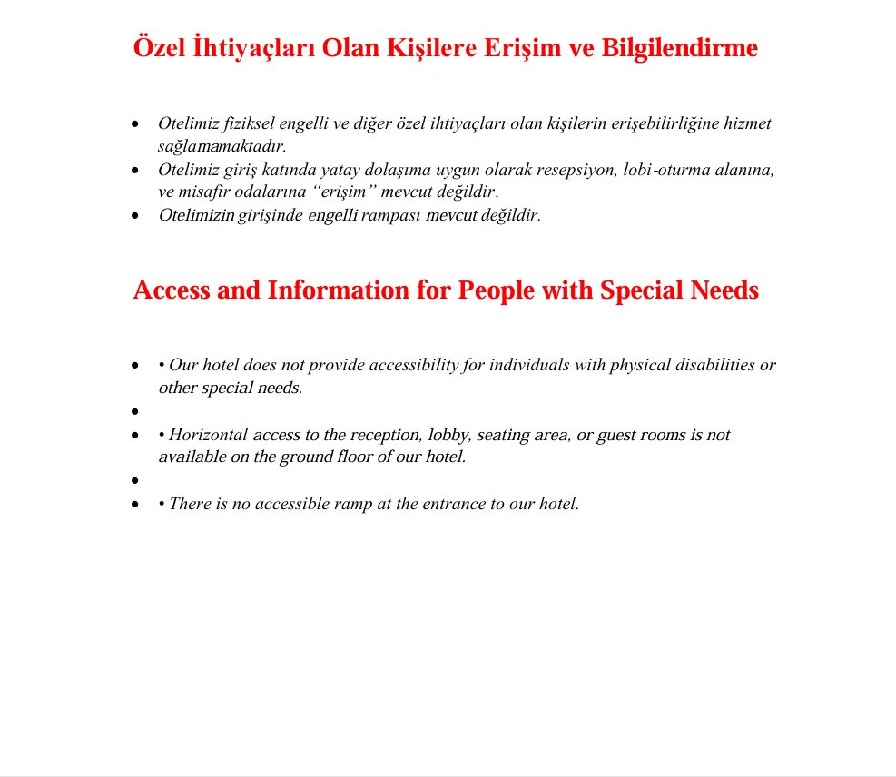 Özel İhtiyaçlar 2